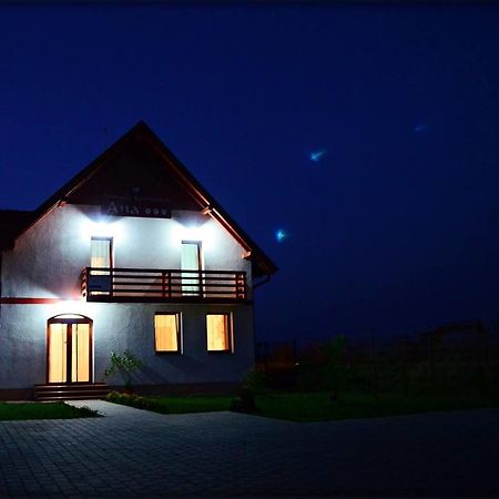 Pensiunea Ana Odoreu Bagian luar foto