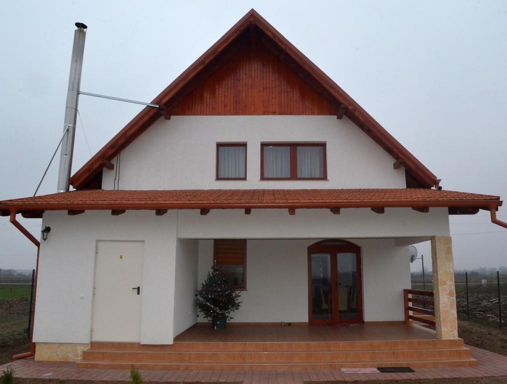 Pensiunea Ana Odoreu Bagian luar foto